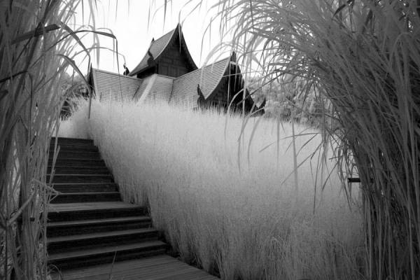 Photograph Ivan Joshua Loh Northern Thailand on One Eyeland